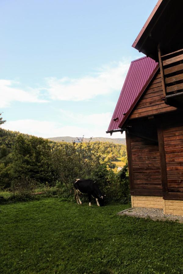 Cottage "Karpatske Shale" Yaremche Exterior foto
