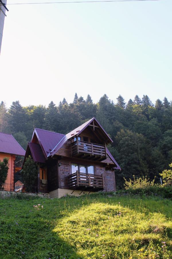 Cottage "Karpatske Shale" Yaremche Exterior foto