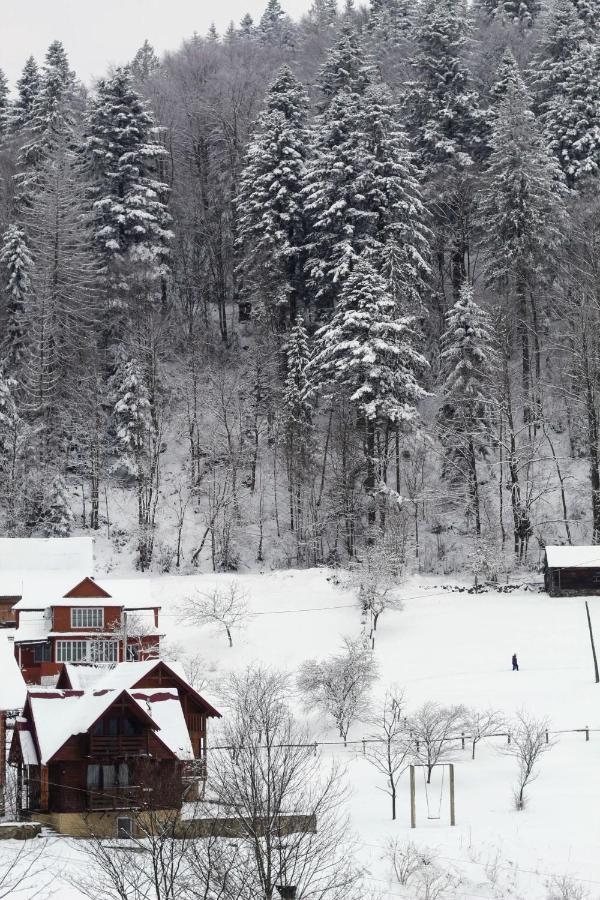 Cottage "Karpatske Shale" Yaremche Exterior foto