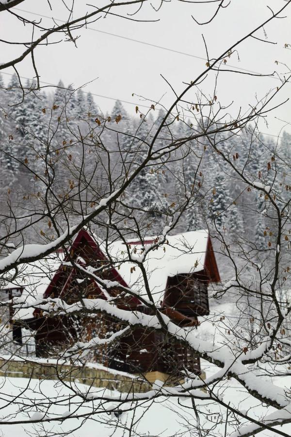 Cottage "Karpatske Shale" Yaremche Exterior foto