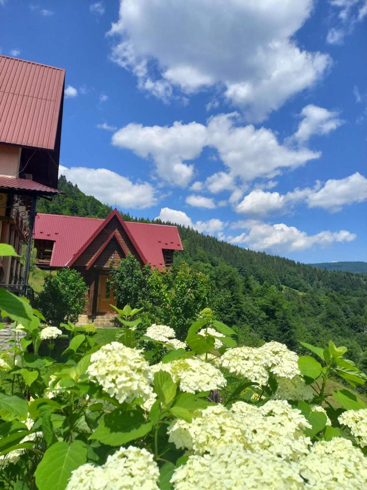 Cottage "Karpatske Shale" Yaremche Exterior foto